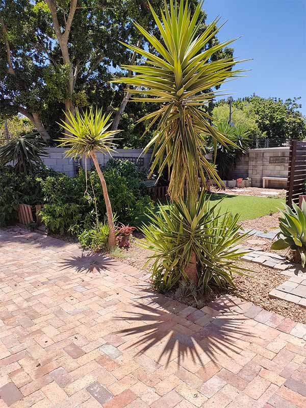 Laughing Lillies Garden Tree